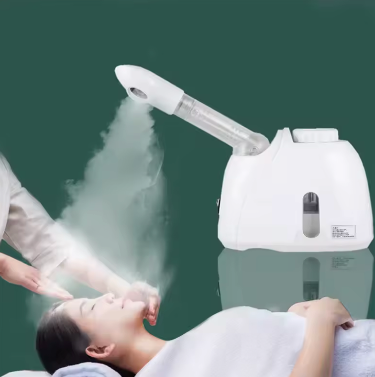 Brumea Lumea Appareil Facial Hydratant à Brume Ultra-Fine