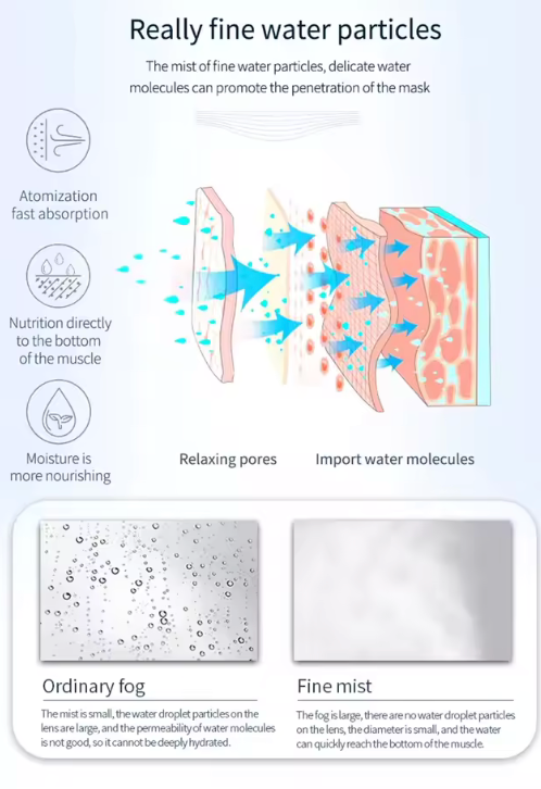 Brumea Lumea Appareil Facial Hydratant à Brume Ultra-Fine